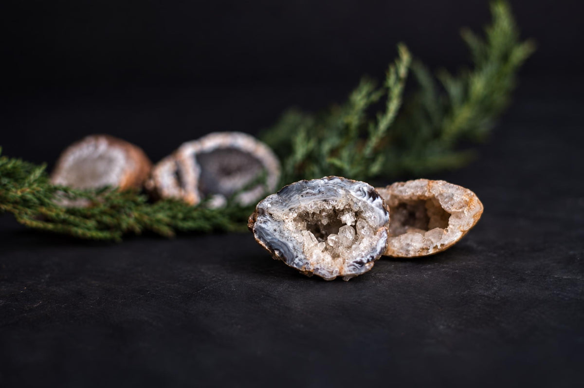 Four polished agate geodes with crystalline interiors, white and grey bands, on a dark surface beside green foliage.
