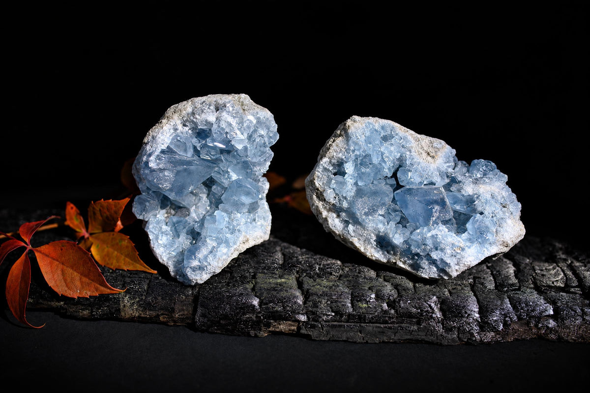Two pale blue crystal clusters with rough light outer edges stand on a dark surface beside red leaves.