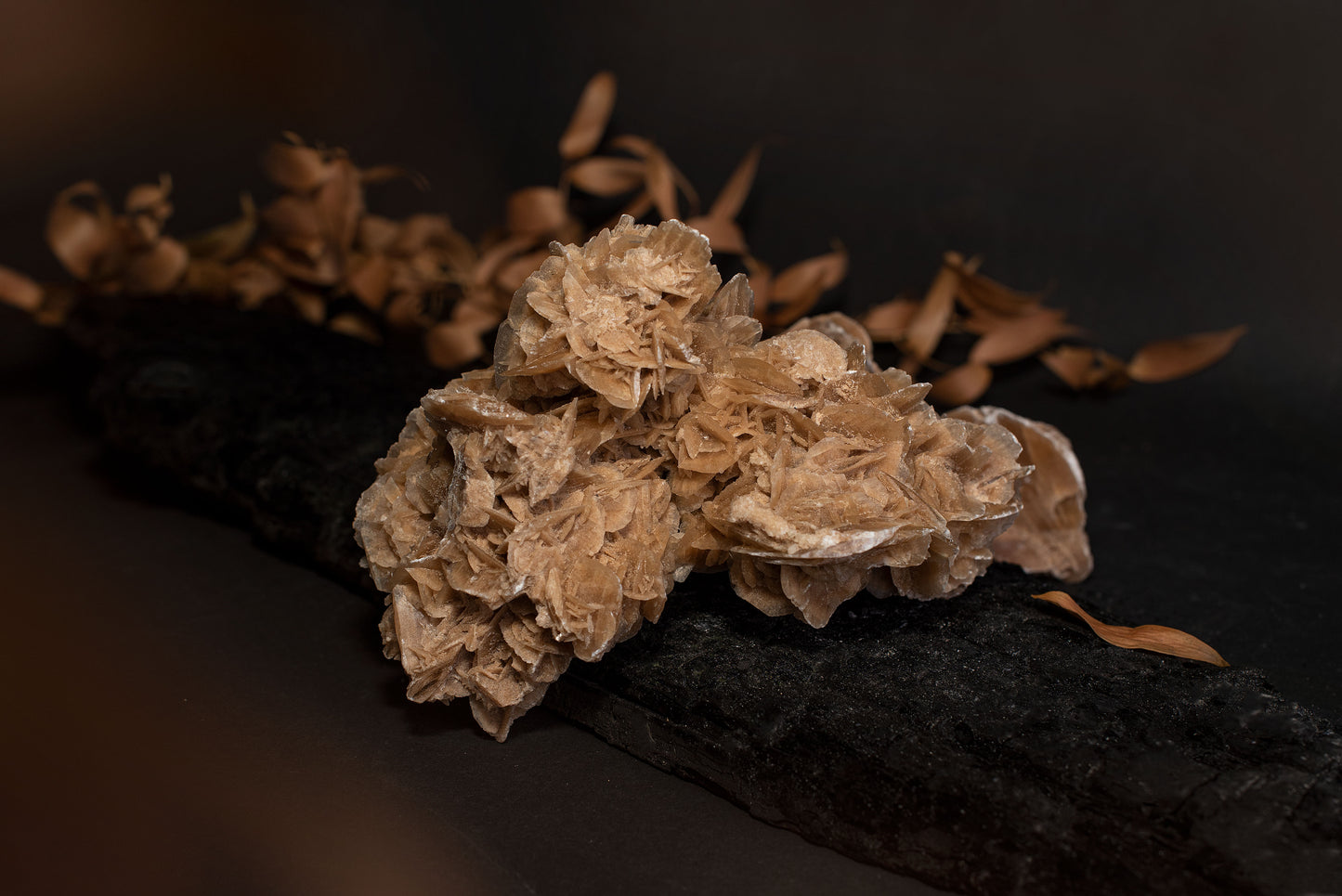 Desert rose stone - www.Crystals.eu