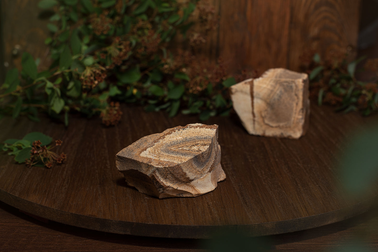 Picture jasper – 0.2 - 0.6 kg - www.Crystals.eu