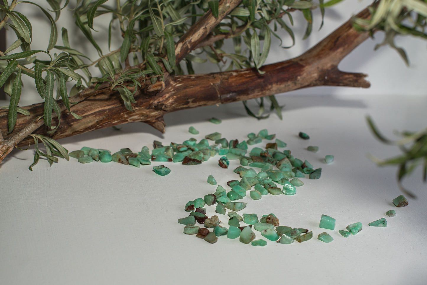 Chrysoprase – XXS - www.Crystals.eu