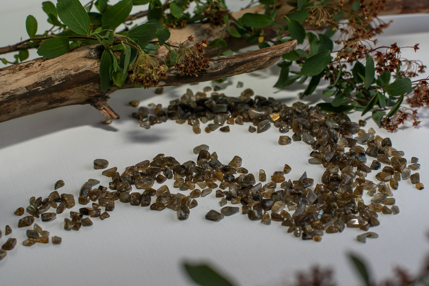 Labradorite – XXS - www.Crystals.eu