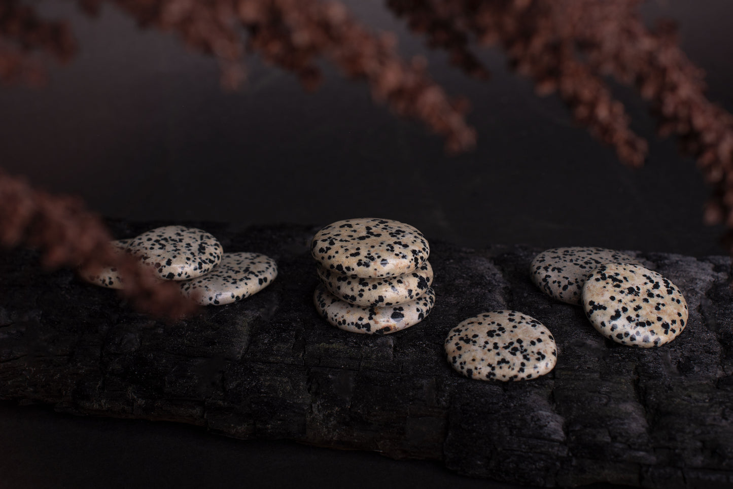 Dalmatian Jasper - Palmstone