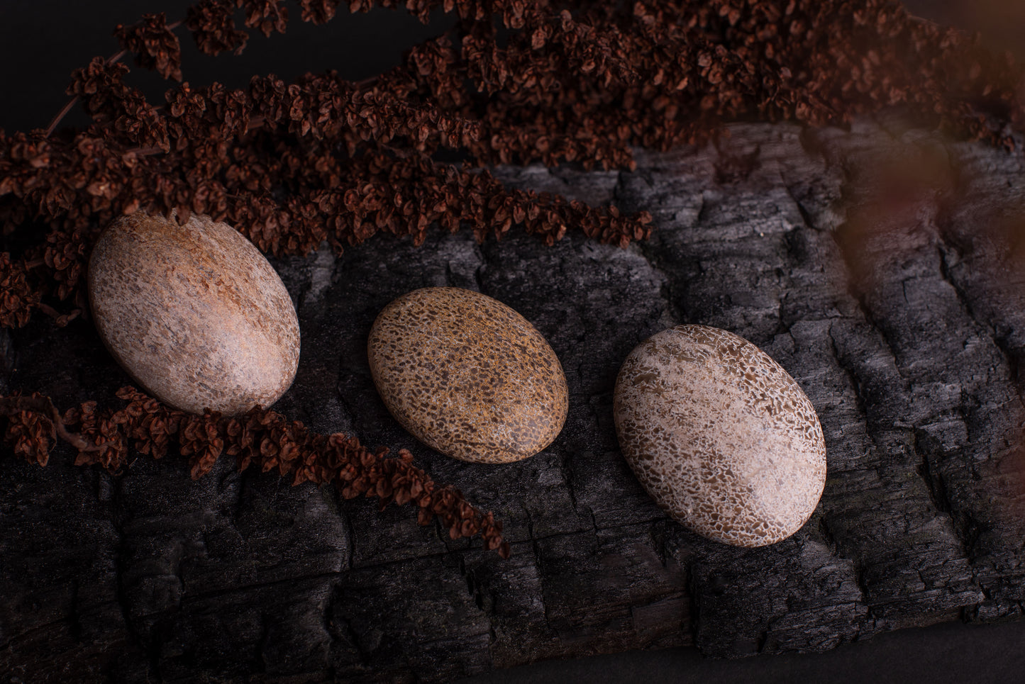 Dinosaurierknochen xxl