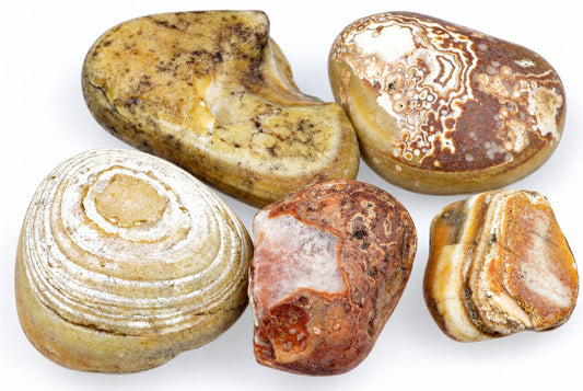 Five polished agate stones with varied banding and patterns in brown, white, cream, and red on a pale surface.