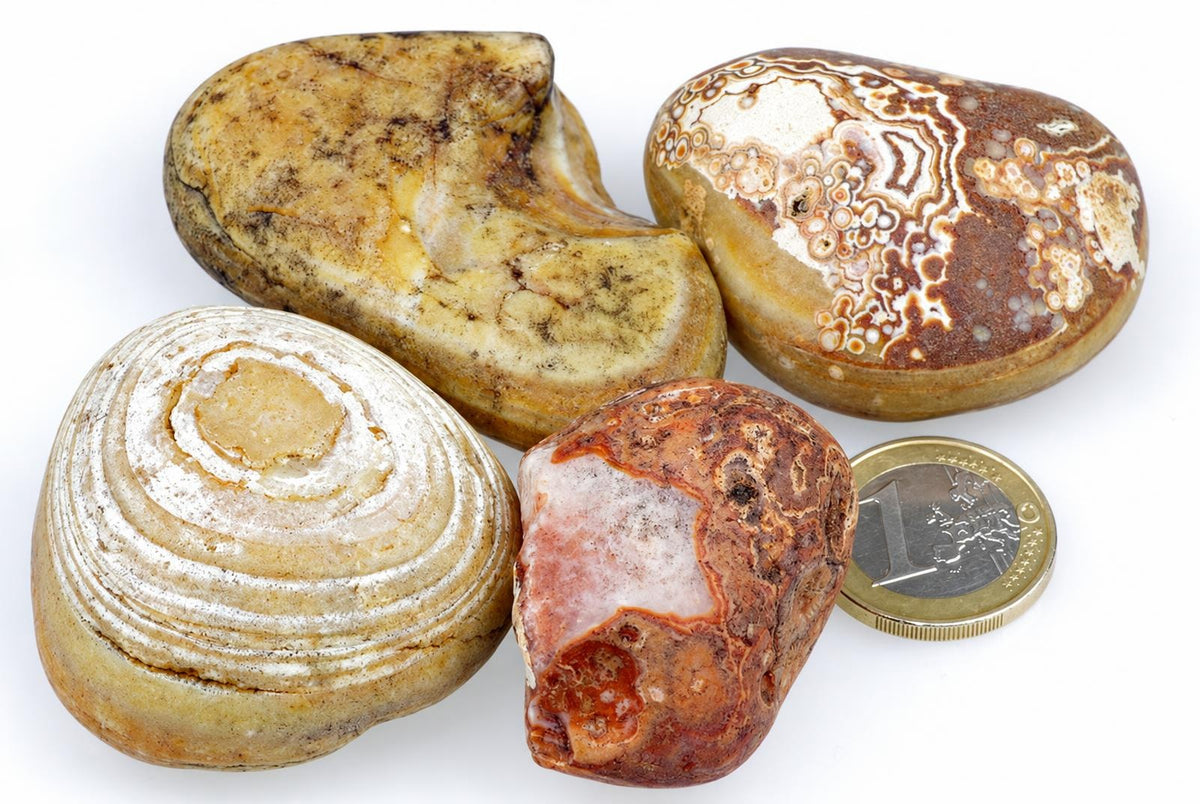 Four polished agate stones with varied banding and patterns in brown, white, cream, and red tones sit on a pale surface next to a one-euro coin.