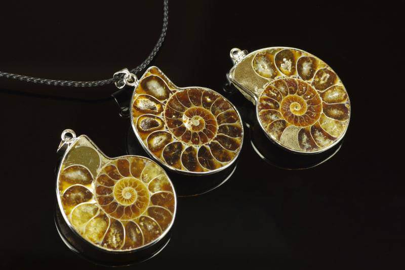 Ammonite pendant – Unique