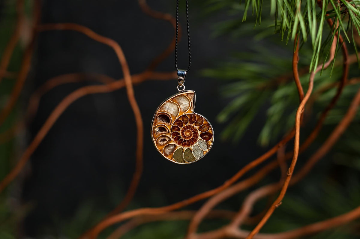 A polished ammonite pendant shows curved brown and cream chambers in a spiral, suspended among branches against a dark green background.