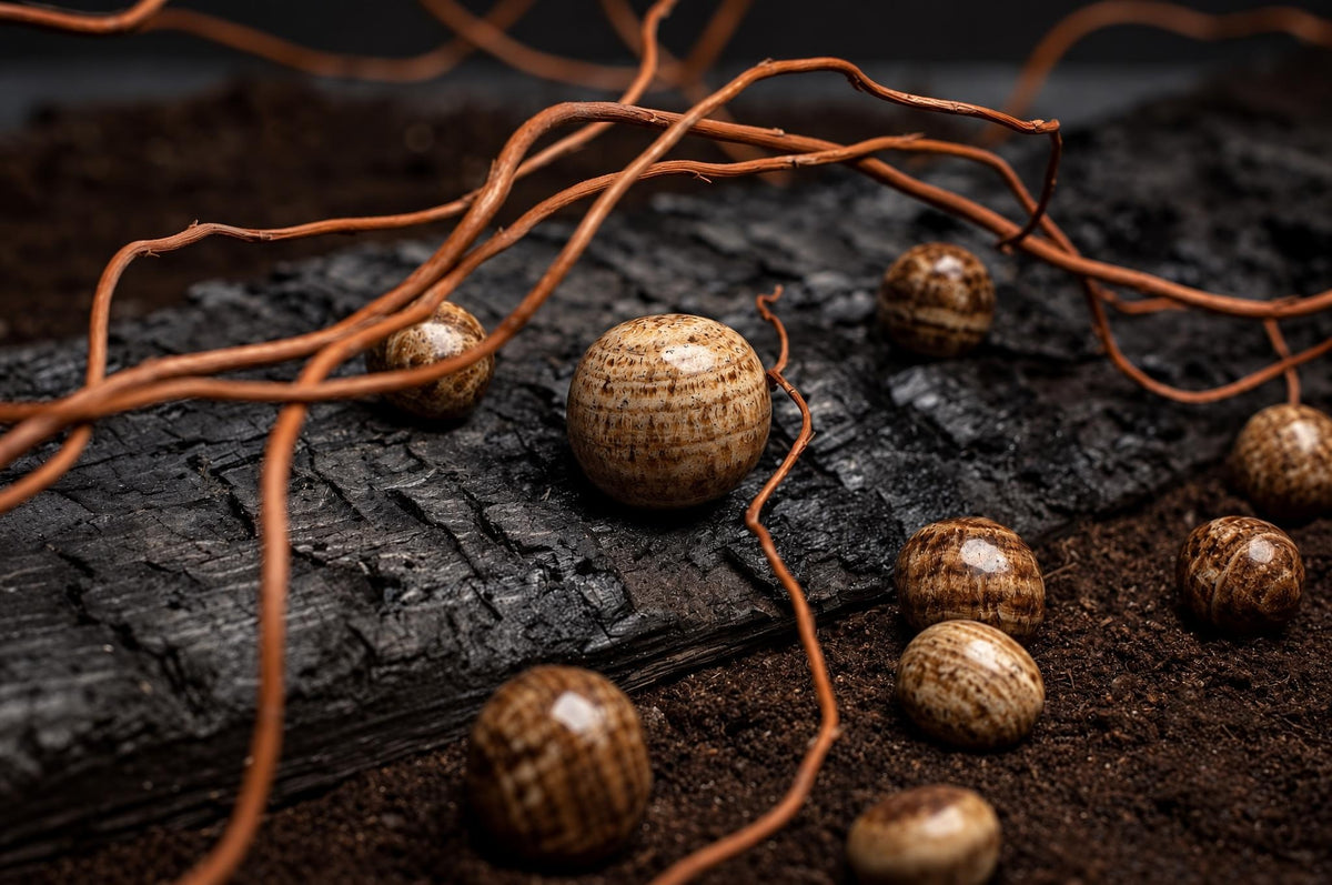 Rounded polished brown aragonite stones with fine bands rest among thin branches on a dark textured surface.