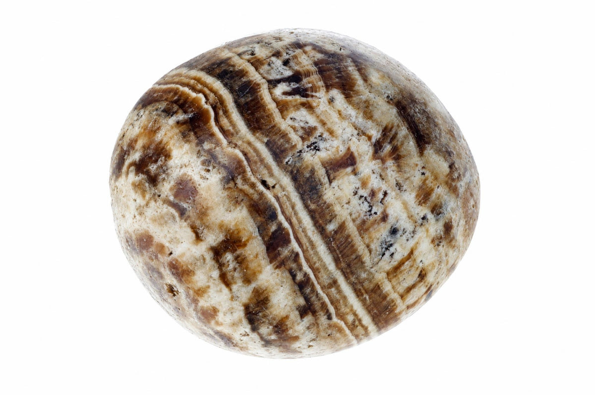 A polished, round stone with brown and cream wavy stripes on a white background.