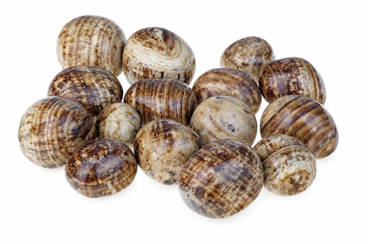 A pile of round, polished stones with brown and cream striped patterns on a white background.