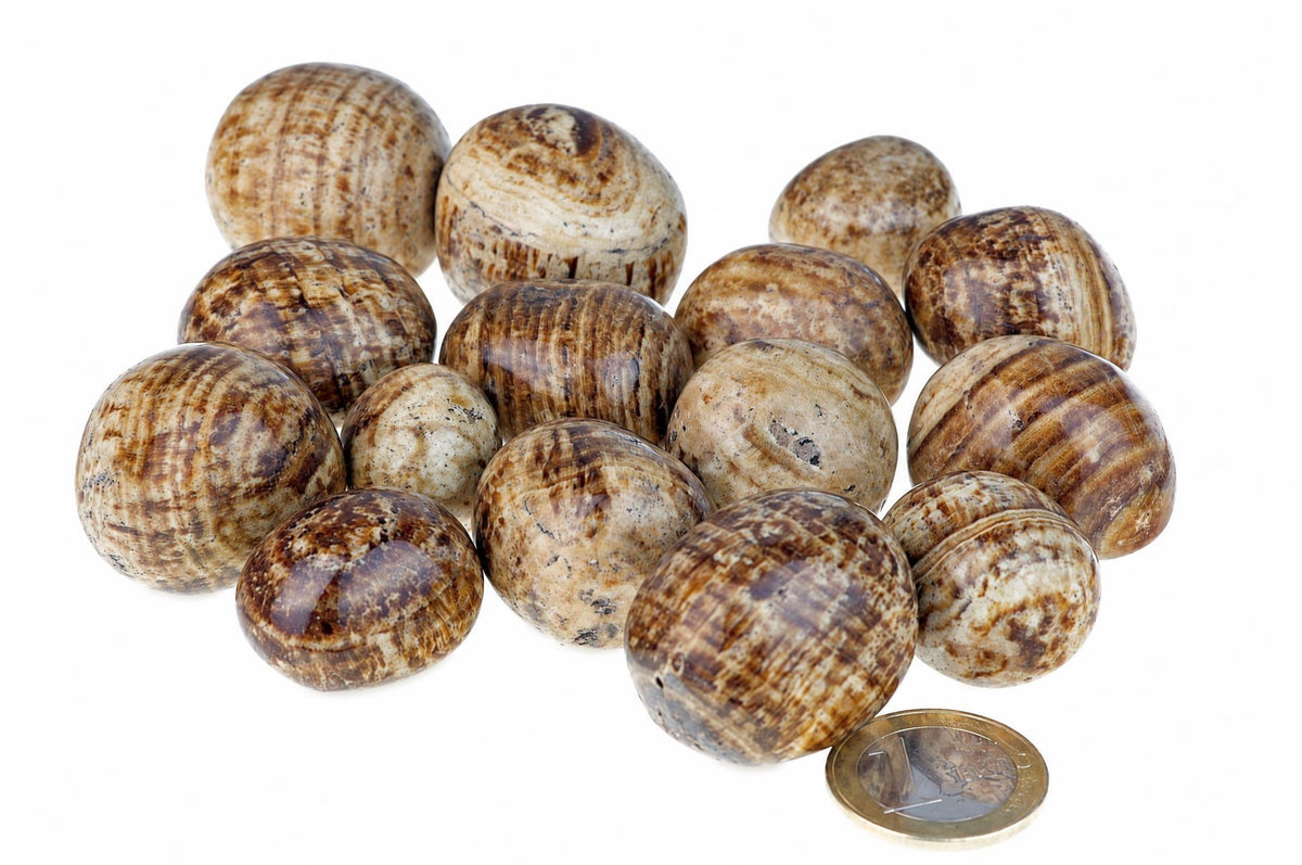 A pile of polished, round Aragonite beads with brown and cream stripes on a white background, next to a coin.