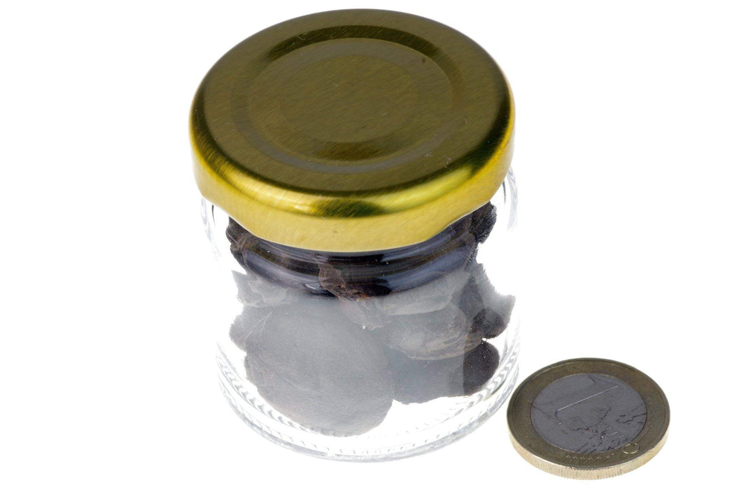 Brachiopoda – Bottled