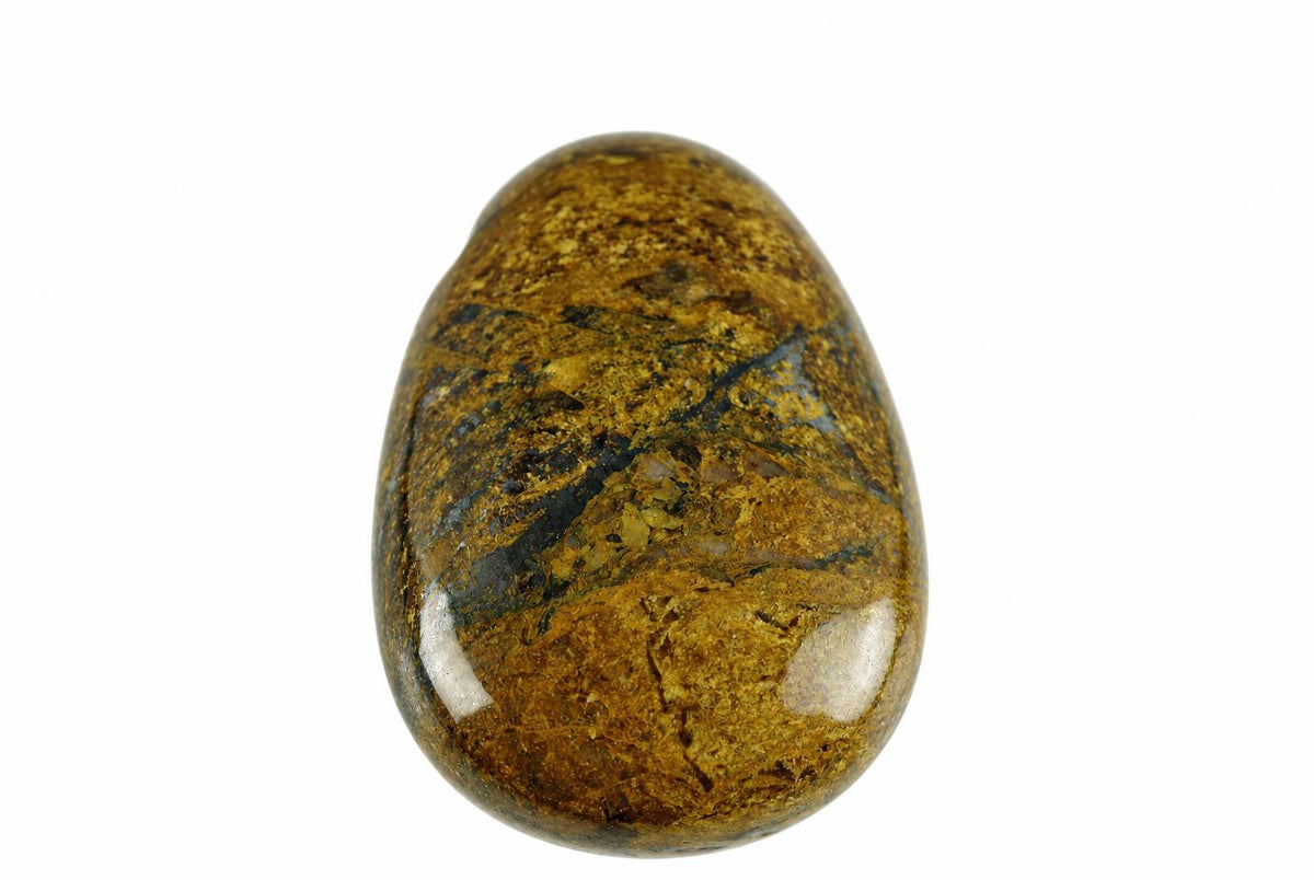 A polished, teardrop-shaped stone with a glossy surface showing dark brown and golden-brown patterns on a white background.
