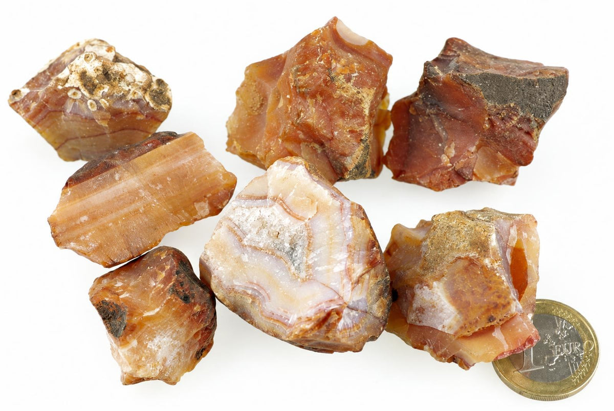 Seven raw carnelian stones in shades of orange, brown and white with dark patches, arranged on a pale surface next to a one-euro coin.