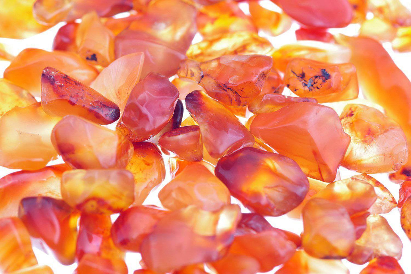 Carnelian – XXS