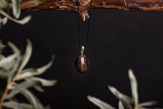 A polished, oval-shaped brown pendant with golden flecks hangs from a black cord on a wooden branch against a dark background.