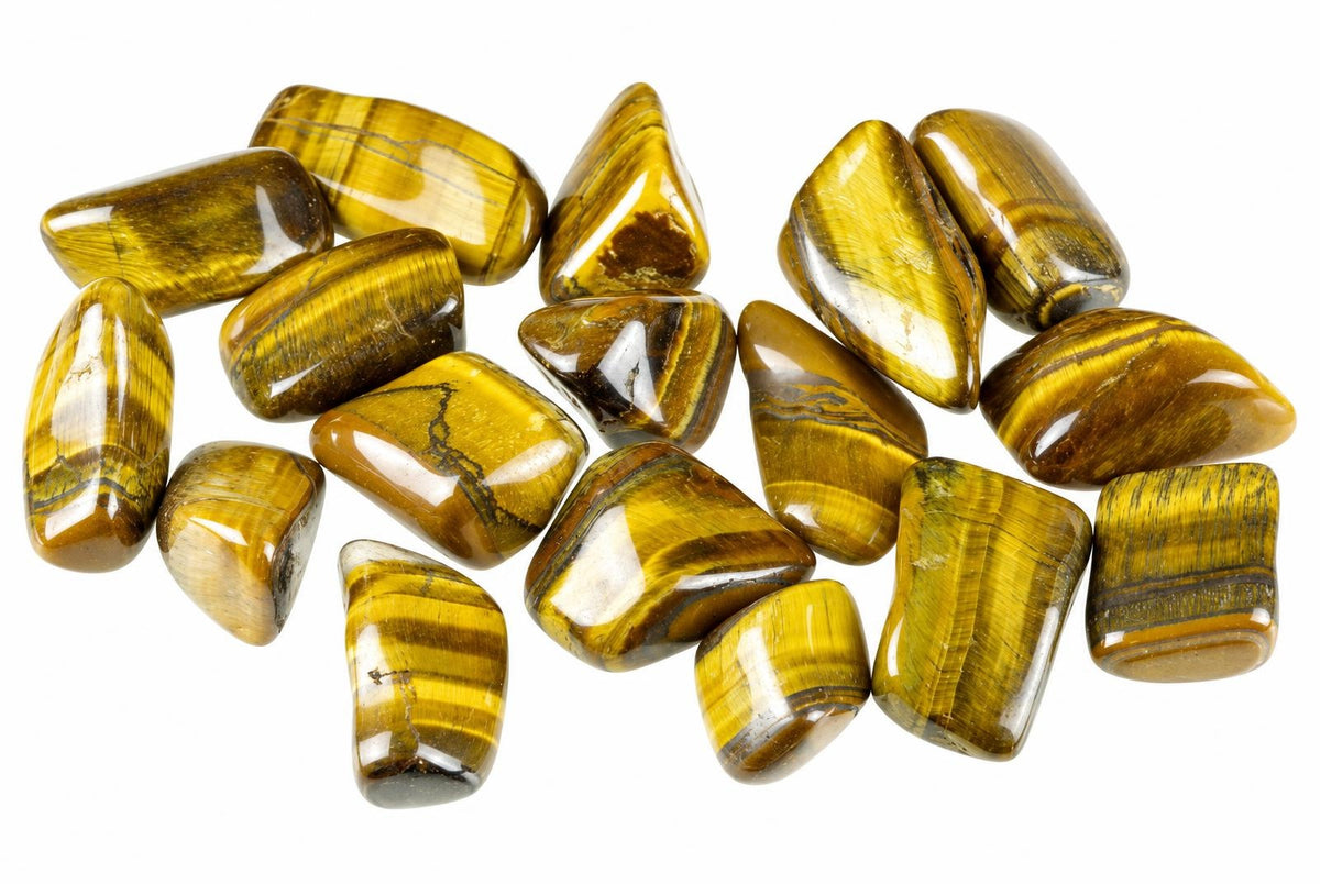 Polished tiger eye stones in varied rounded and angular shapes, with golden-yellow and brown bands, arranged on a white background and viewed from above.