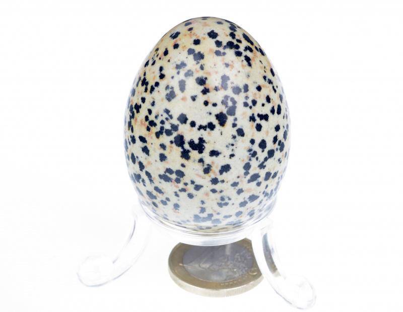 Dalmatian jasper egg – 50mm