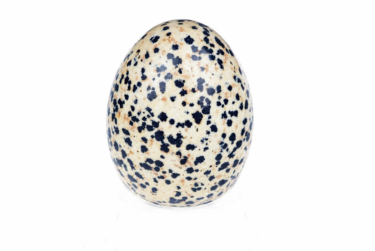 A speckled egg-shaped object with a cream base and dark blue spots, resting on a white surface.
