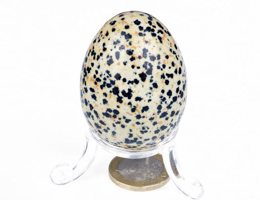 A speckled egg-shaped stone with black and brown spots on a pale background, displayed on a clear stand over a coin.