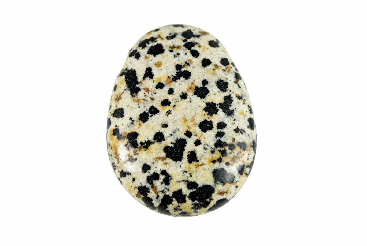 A polished, oval-shaped stone with a cream background and scattered dark brown to black spots on a white surface.
