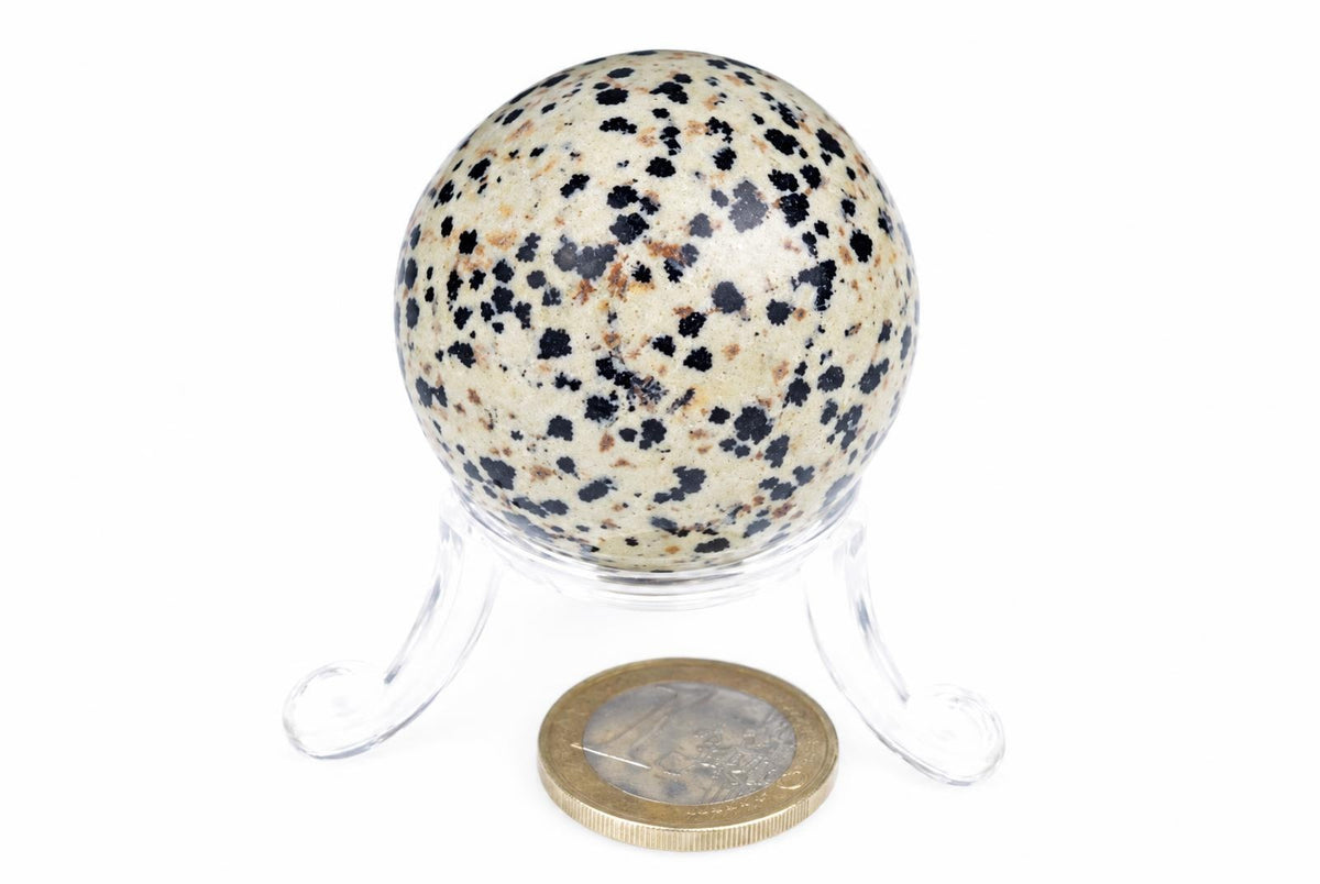 A polished Dalmatian jasper sphere with black and brown spots on a cream background, resting on a clear stand beside a coin.