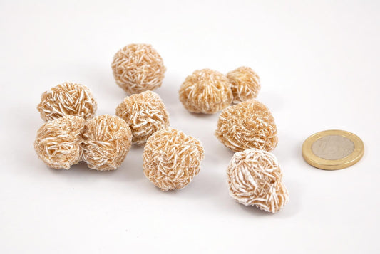 Beige rosette-shaped stone clusters with layered ridges rest on a pale surface beside a coin.