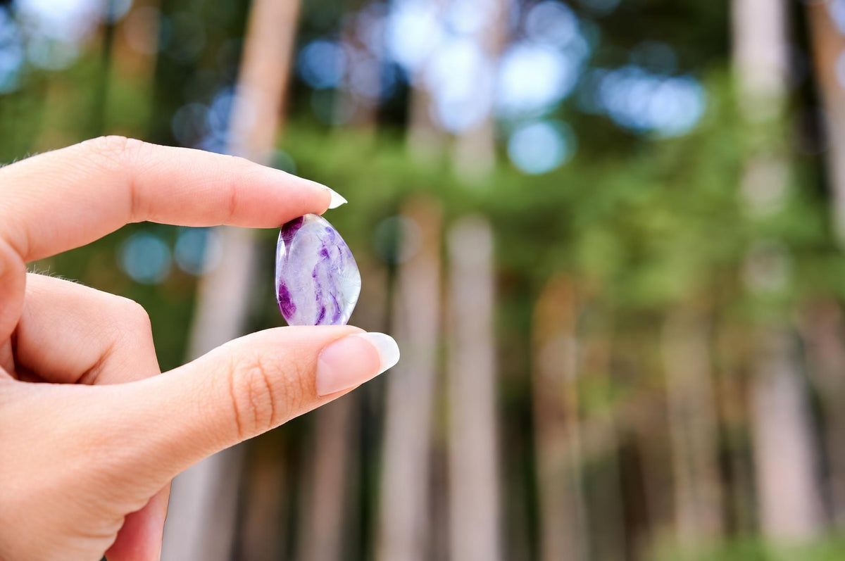 A hand holds a polished, teardrop-shaped stone with purple and white swirls against a blurred forest background.