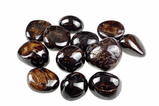 A group of polished, dark brown and black stones with golden flecks on a white background.