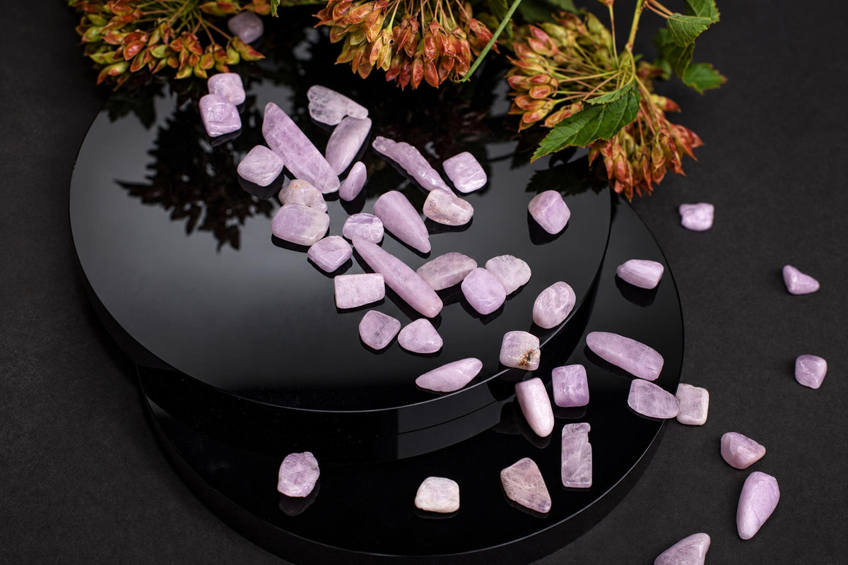 A collection of small, polished purple Kunzite stones arranged on a glossy black circular stand with dried botanicals above.