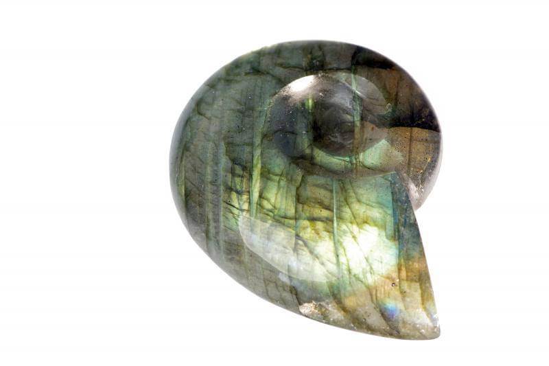 Labradorite ammonite pendant – Unique