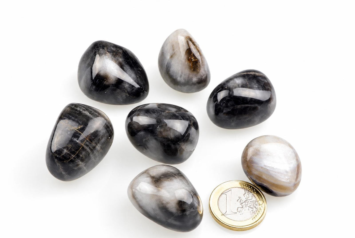 Seven polished stones with black and white patterns, plus a one-euro coin on a pale surface.