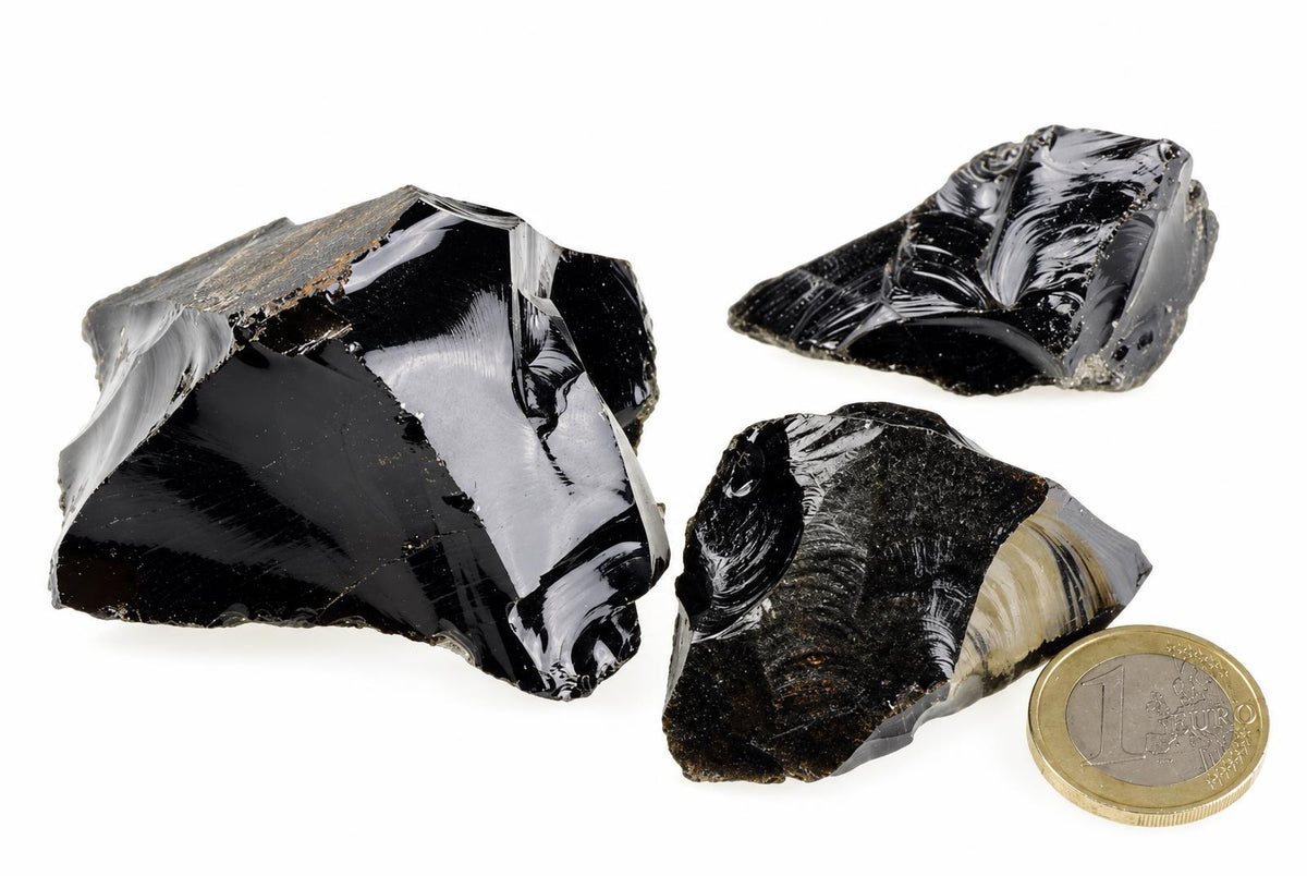 Three glossy black obsidian fragments with sharp edges and a gold-coloured one-euro coin for scale on a white surface.