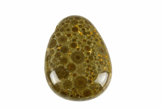 A polished olive-brown oolite drop pendant shows numerous circular patterns and a glossy surface, suspended from a black cord on white.