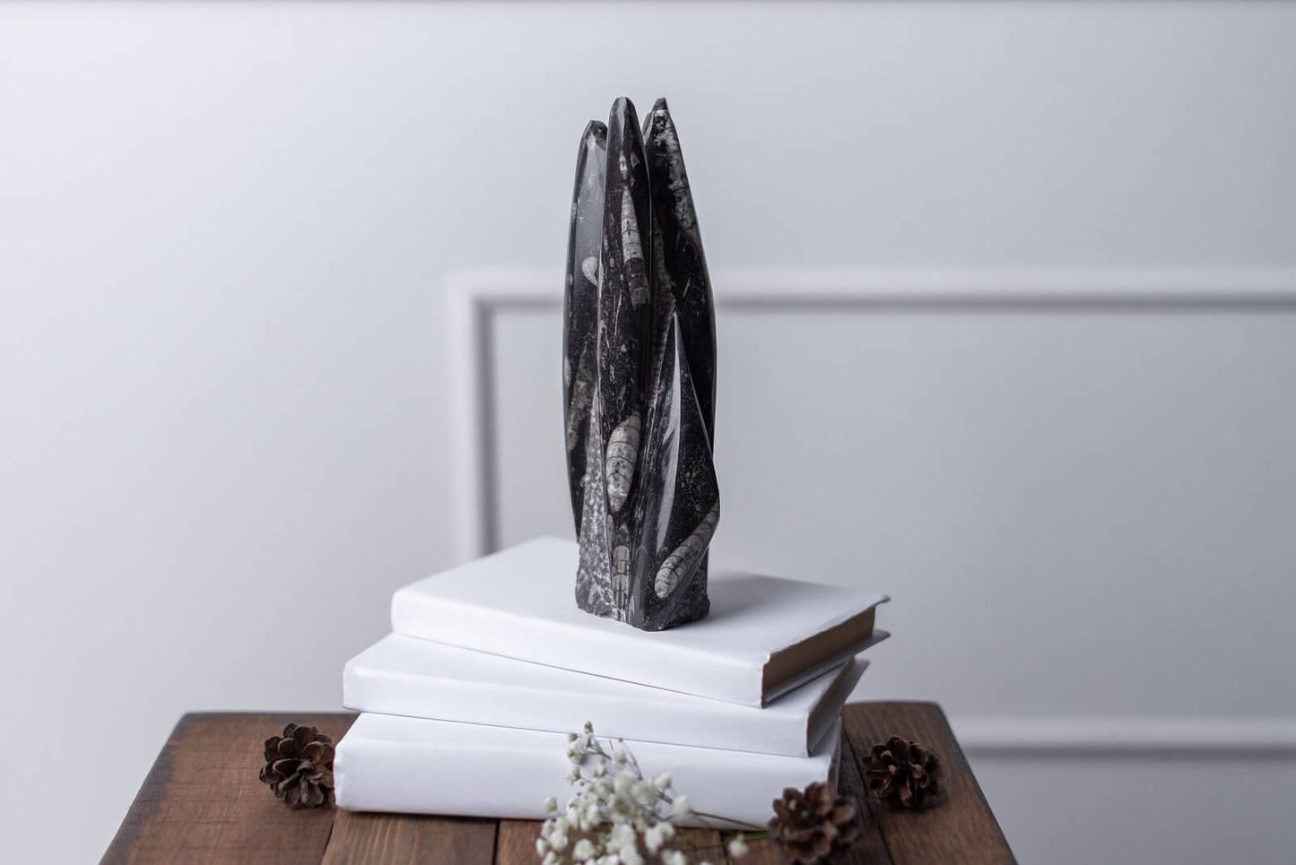 Orthoceras – Tower