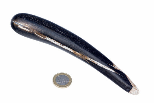 A dark, polished massage stick with a lighter central stripe and rounded tip rests on a white surface next to a one-euro coin.