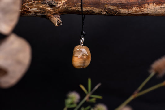 A polished, oval pendant with brown and cream banding hangs from a black cord on a dark surface.