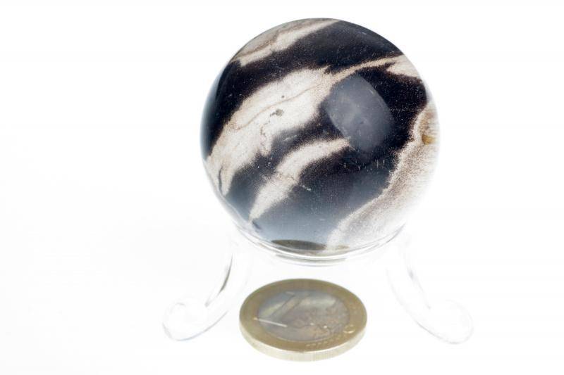 Petrified wood sphere – 40mm