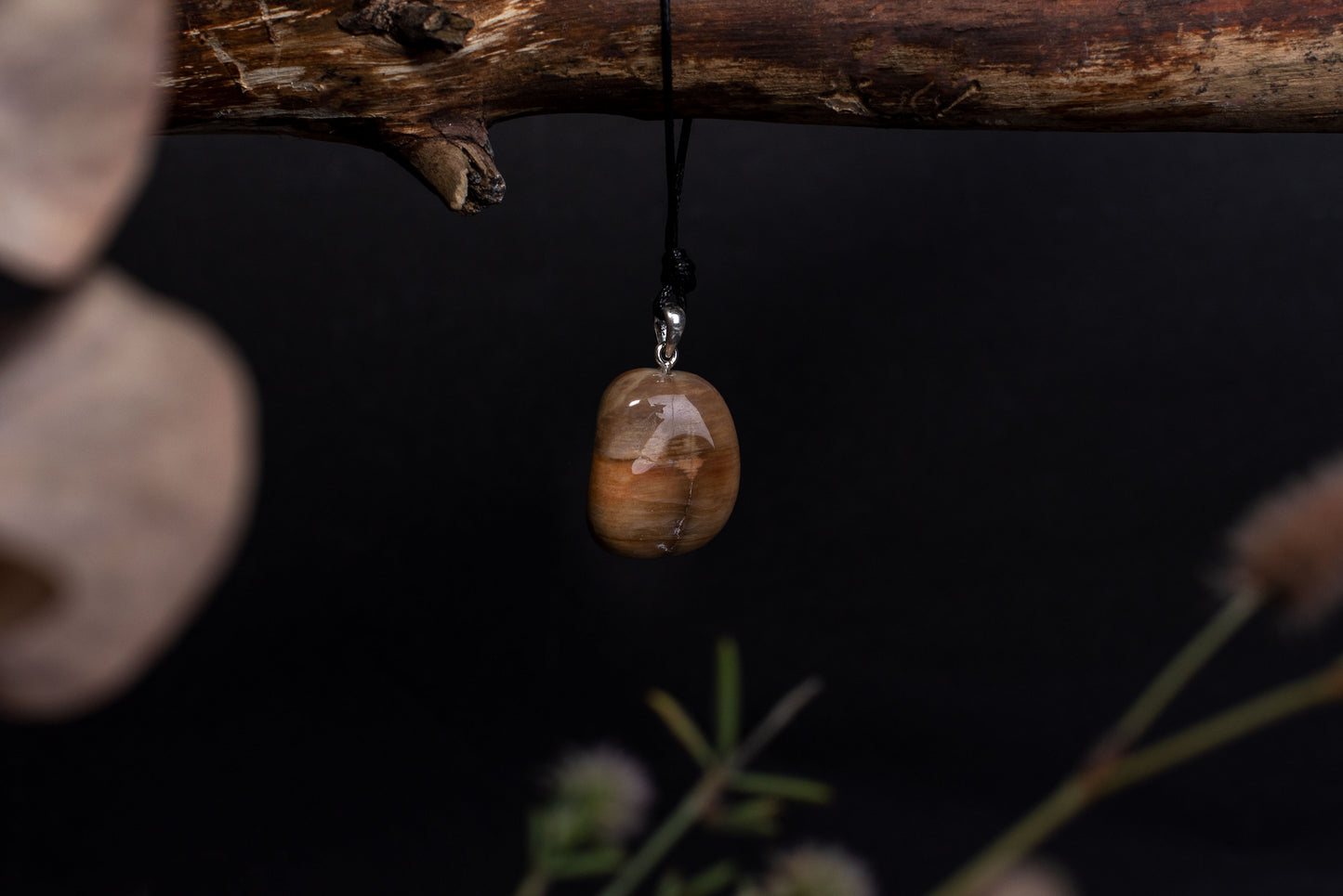 Petrified wood – 925 silver - www.Crystals.eu