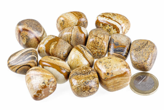 A group of polished Picture jasper stones with brown, black and cream swirls on a white surface next to a coin.