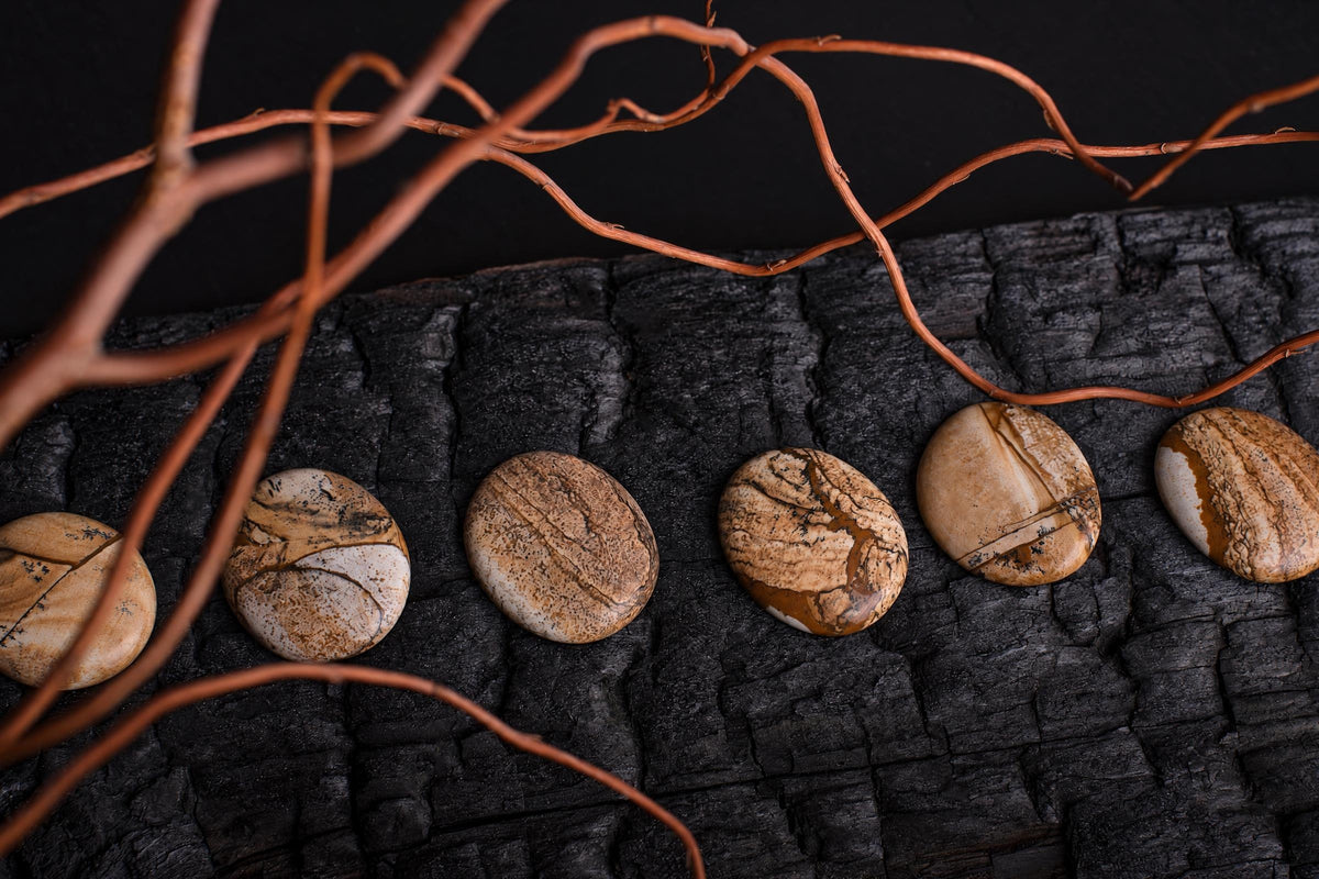 Six oval palmstones with brown and cream patterns rest on a dark wooden surface, framed by thin orange branches.