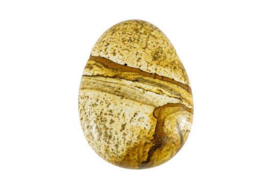 A polished Picture jasper pendant shaped like an egg, featuring cream and brown bands with speckles on a white background.