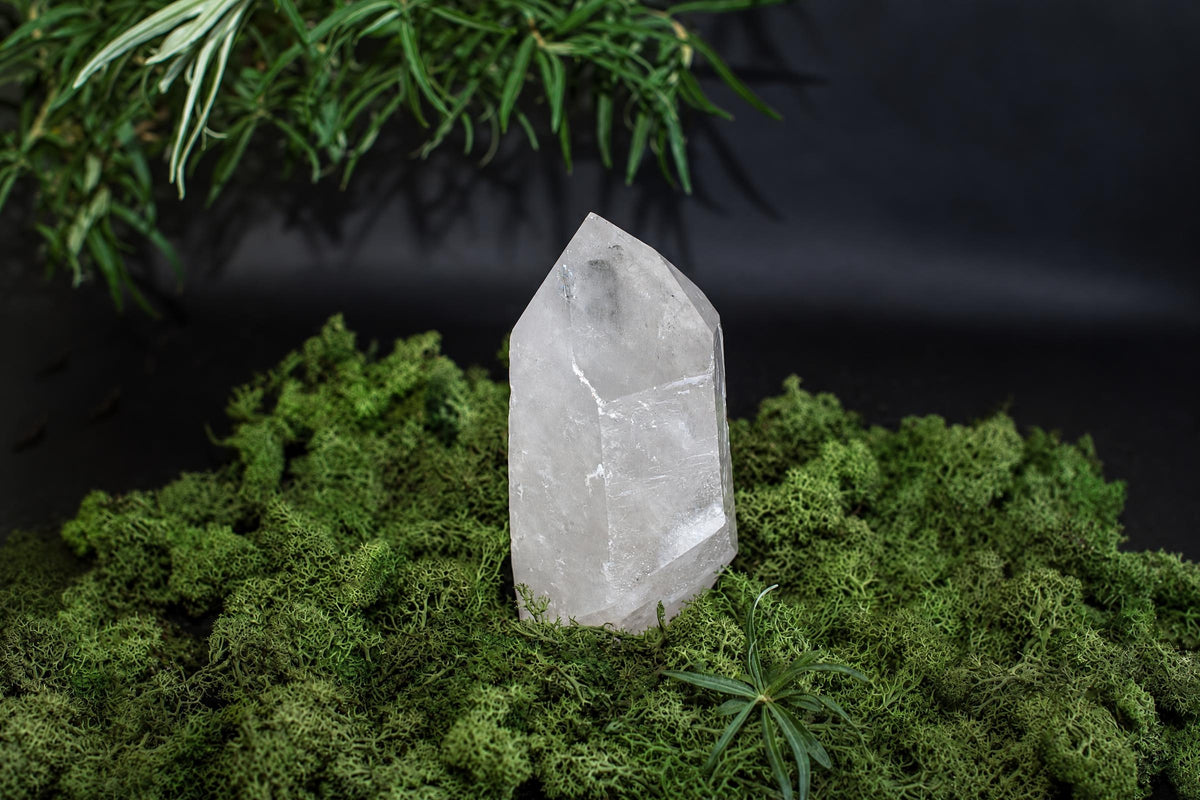 A clear quartz crystal point stands on a bed of green moss against a dark background, with foliage above.