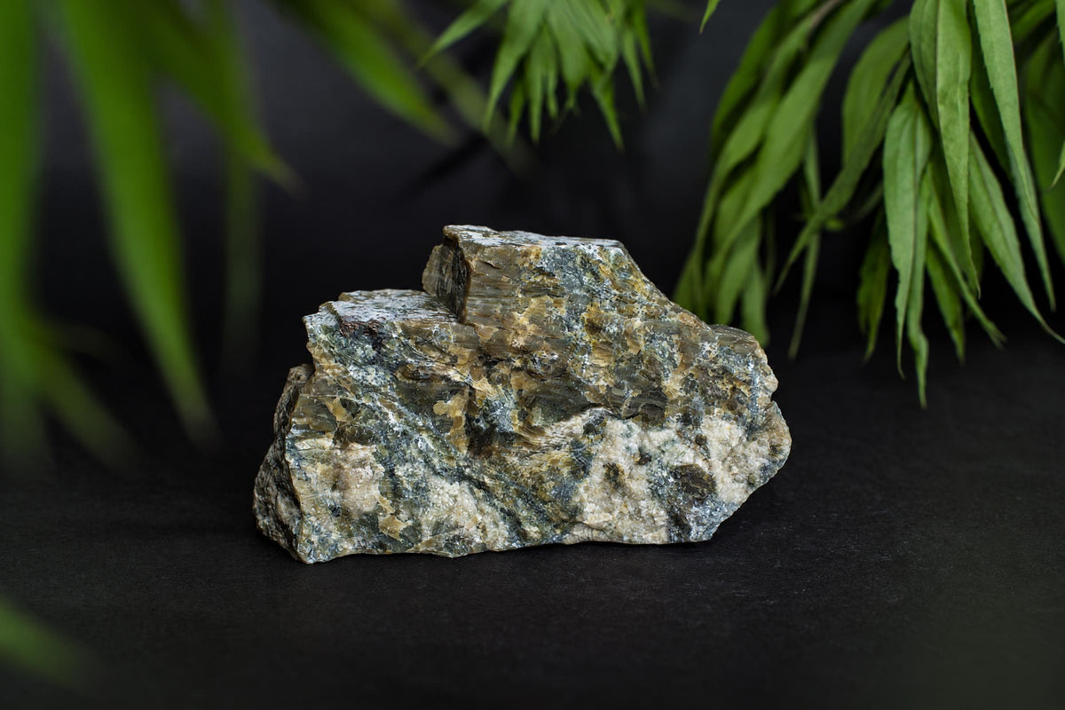 A rough, multi-colored rock with green, brown, and white patches sits on a dark surface near green leaves.