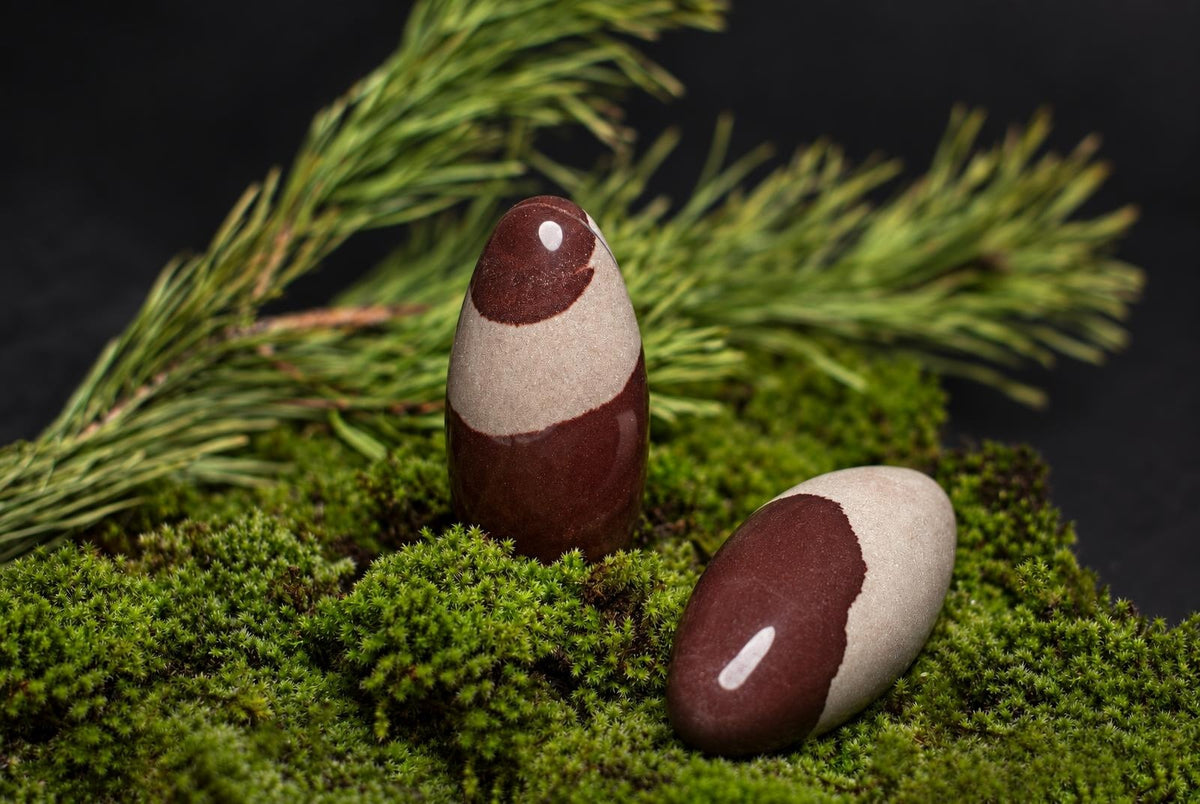 Two polished egg-shaped stones with dark reddish-brown and beige patches are displayed on moss beneath green foliage.