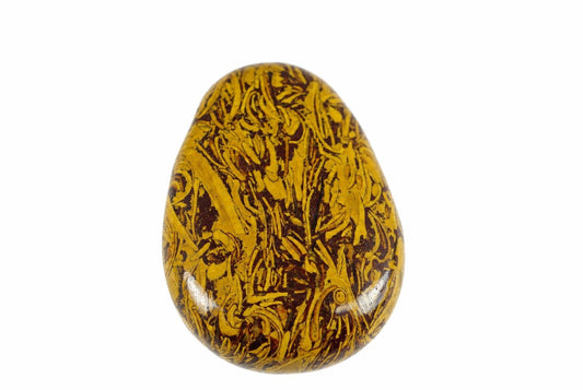 A polished, teardrop-shaped stone with a yellow and dark brown snakeskin-like pattern on a white background.