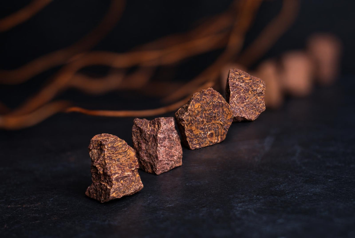 Four rough reddish-brown stones with fine golden-colored markings are arranged in a diagonal row on a dark surface in front of dried stems.