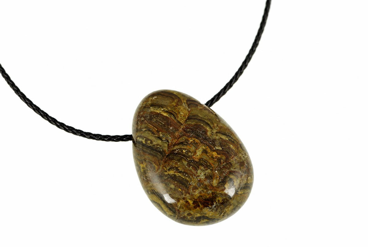 A polished brown stromatolite drop pendant shows curved dark and golden-brown bands, suspended from a black cord against a white background.