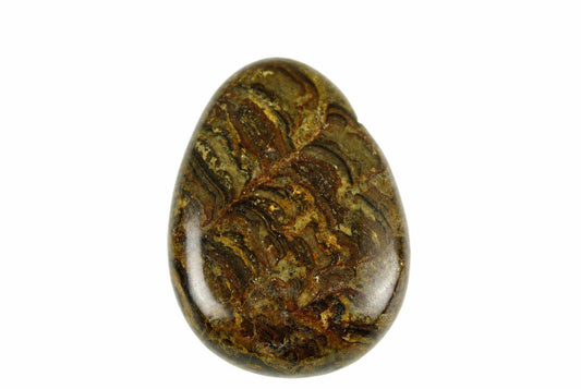 A polished stromatolite drop pendant shows dark brown and golden swirling patterns across its rounded face against a plain white background.